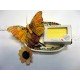 Savon de Marseille parfum Chèvrefeuille