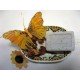 Savon de Marseille parfum Lavande avec morceaux de fleurs
