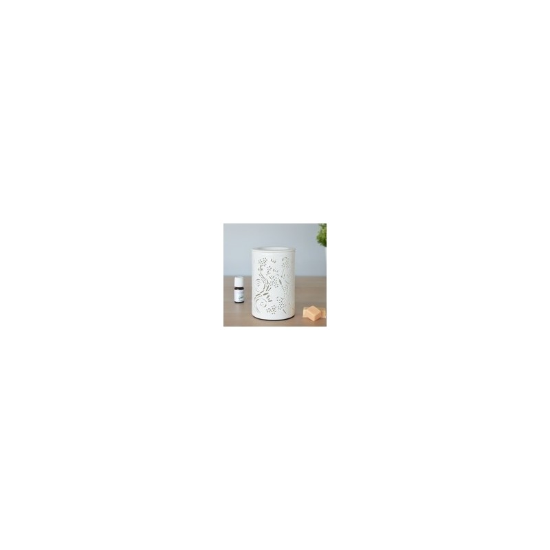 Diffuseur par chaleur Douce