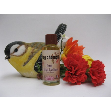 Extrait de parfum d'ambiance NAG CHAMPA
