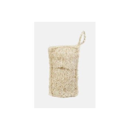 Eponge écologique en Luffa