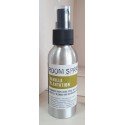Parfum d'Ambiance en spray Vanille