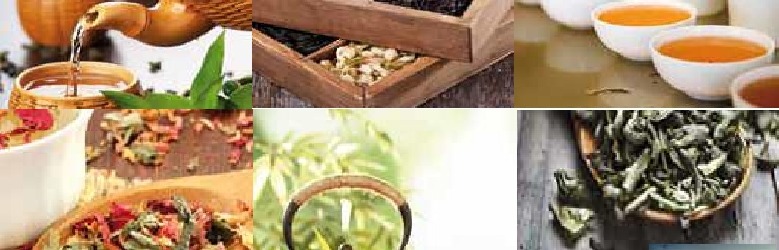 Le thé, les infusions, les tisanes, les herbes